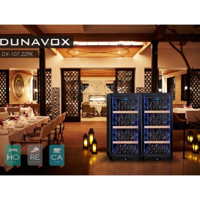 Dunavox DX-107.229K (повр. упак.) 4