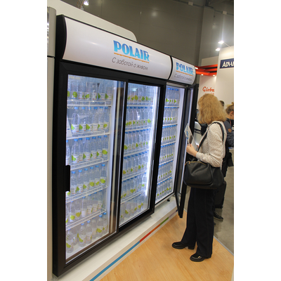 Холодильный шкаф Polair DM107-S (ШХ-0,7 ДС) 2