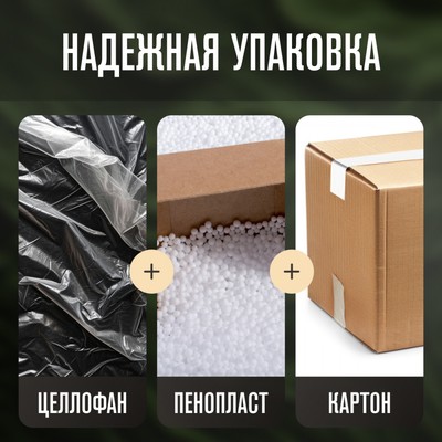 Meyvel MKE-03T (Black) 18