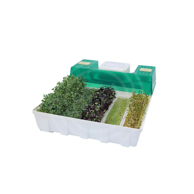 Проращиватель микроферма EasyGreen EGL 55 2