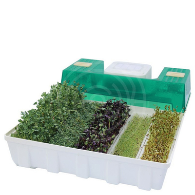 Проращиватель микроферма EasyGreen EGL 55 3