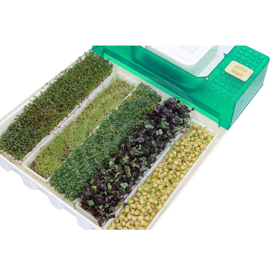 Проращиватель микроферма EasyGreen EGL 55 1